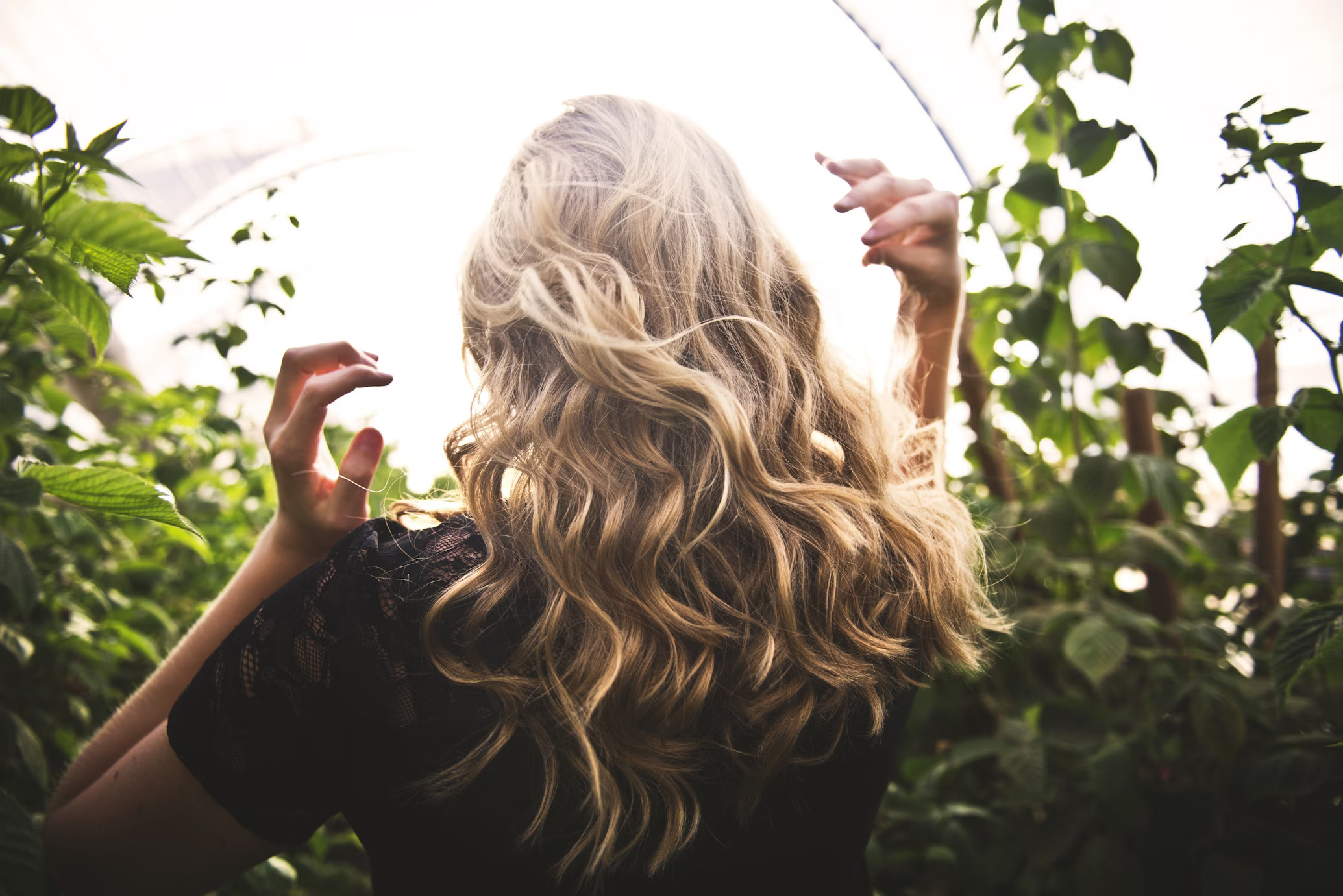 Linea Color Care